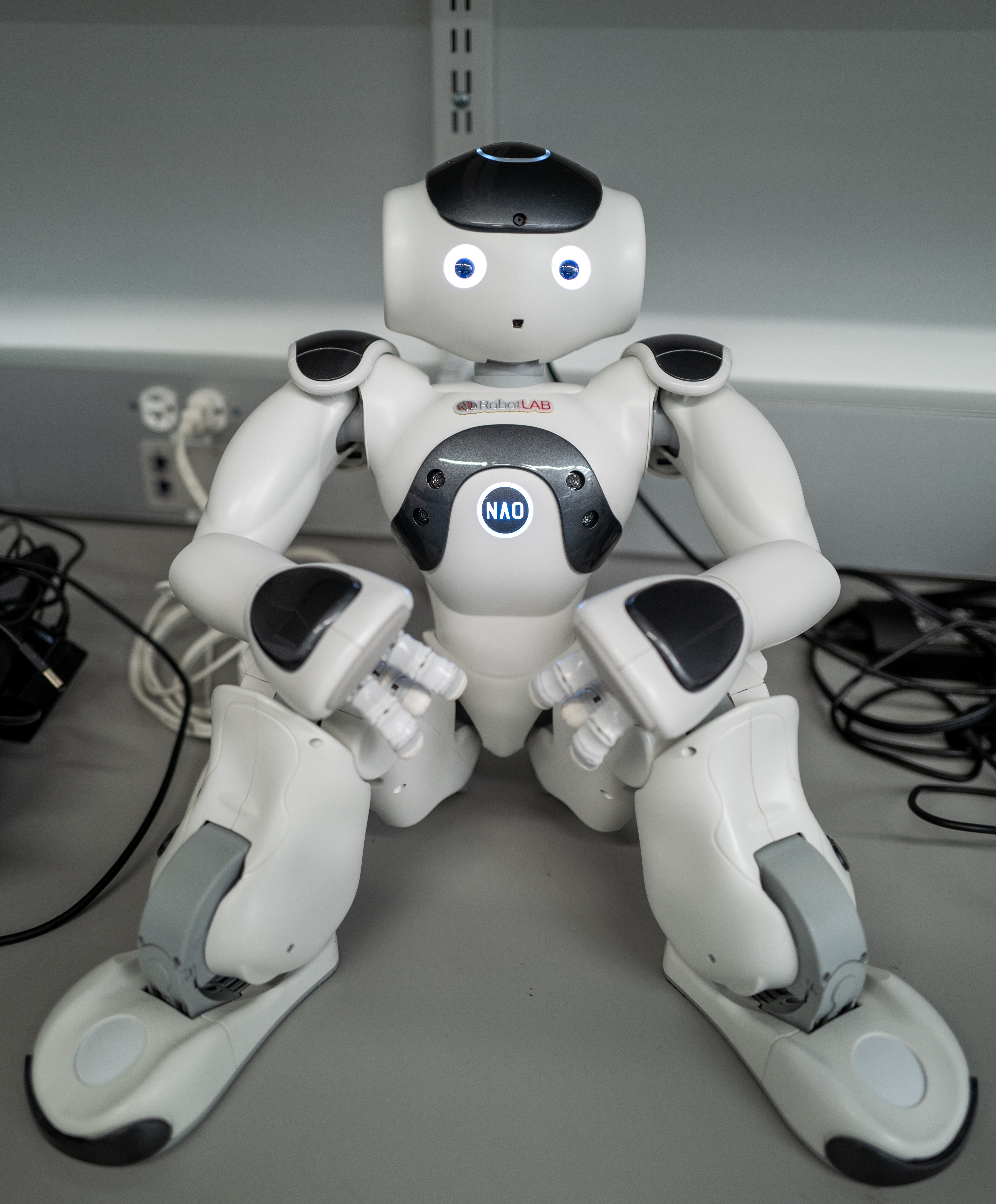 Robot Autonomy and Social Agency Research